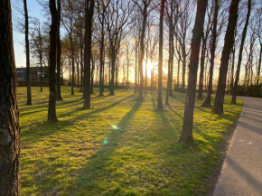 Knus vakantiehuis aan het Drents Friese Wold